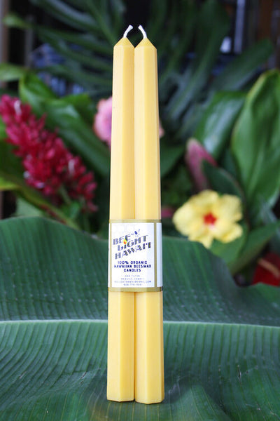 Hexagon Taper Beeswax Candle Hawaii Made