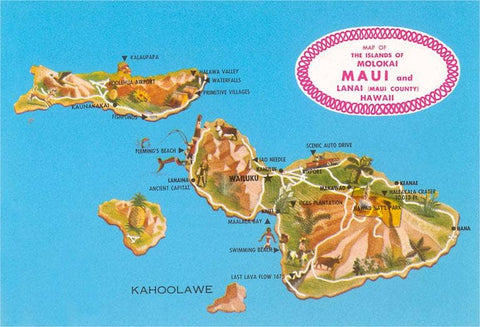 Vintage Postcard - Maui Island