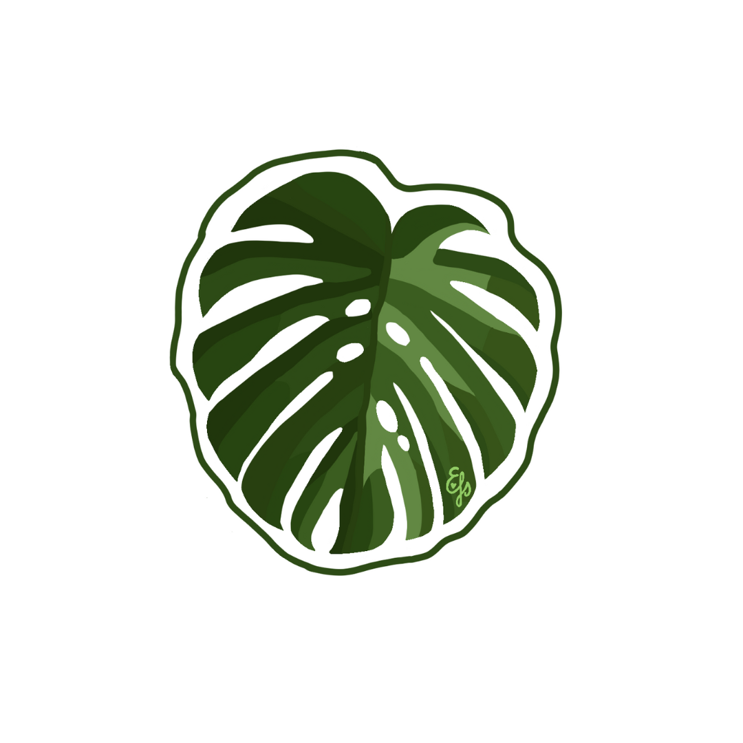 Hawaiian Flowers, Sunrise Shell & Monstera Stickers By 12 Year Old Maui Artist