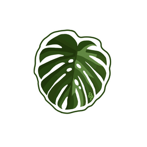 Hawaiian Flowers, Sunrise Shell & Monstera Stickers By 12 Year Old Maui Artist