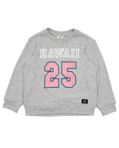 Hawaii 25 Hacci Pullover Sweater | Gray