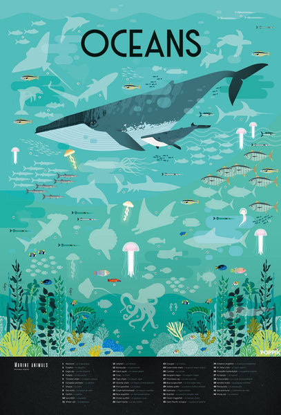 Poppik - Discovery Posters OCEAN