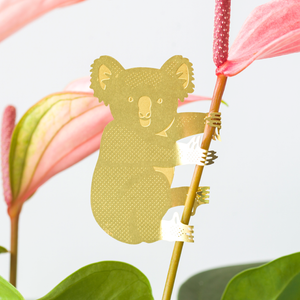 Plant Animal - Koala Bear, garden decor