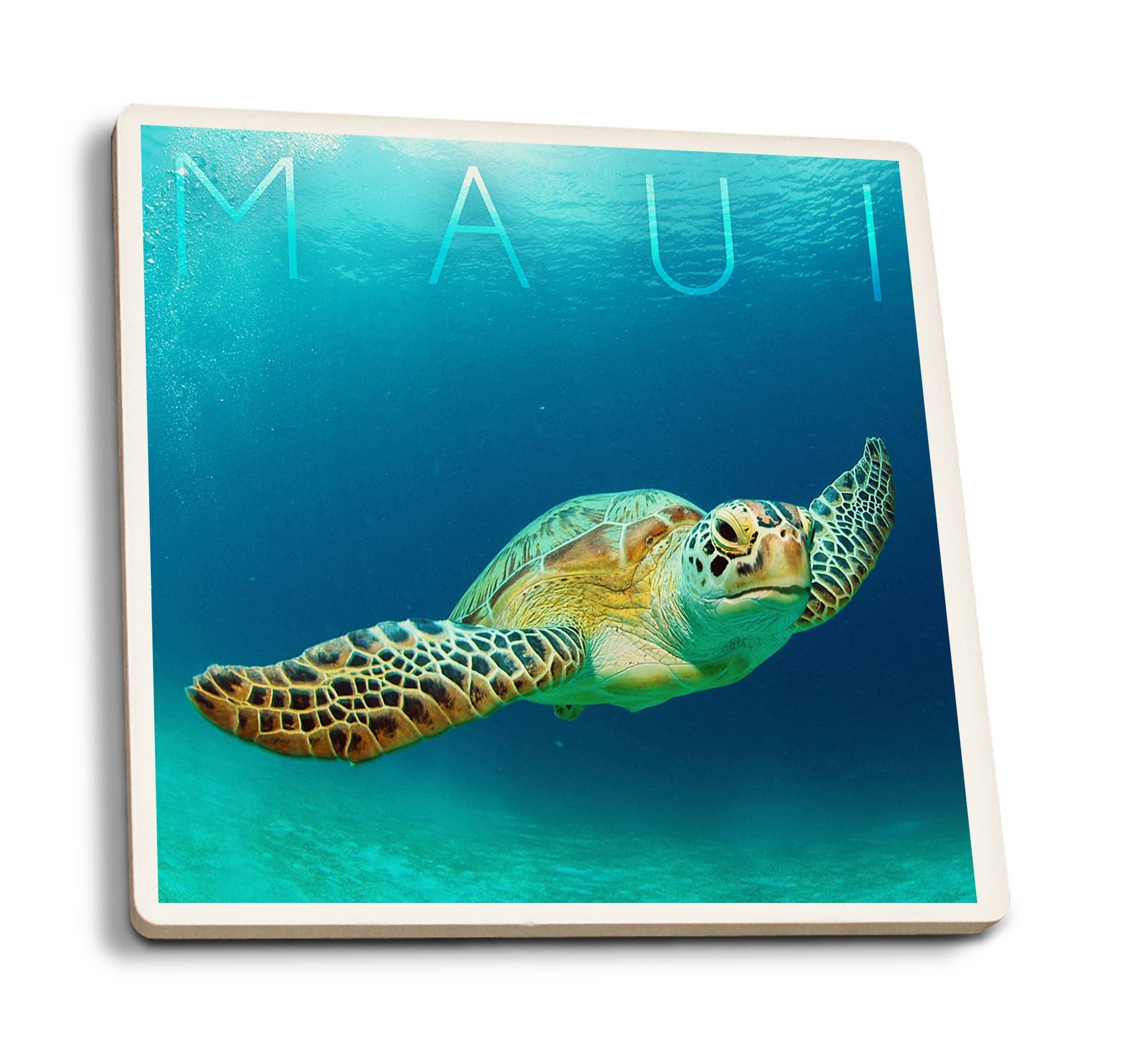 Maui, Sea Turtle Coaster