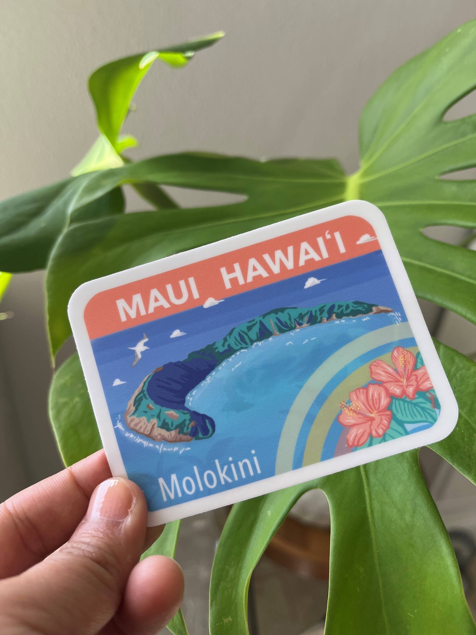 Maui Molokini Sticker