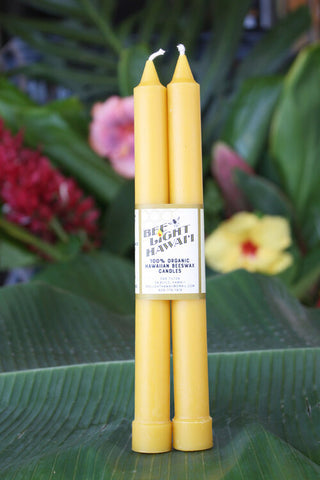 Colonial Taper Beeswax Candle Hawaii Made