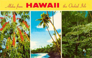 Aloha from Hawaii Magnet