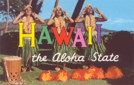 HI-593 Hawaii the Aloha State, Postcard